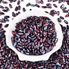 Baking Paint Glass Seed Beads SEED-N008-06G-2