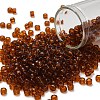TOHO 6/0 Round Beads X-SEED-TR06-0941-1
