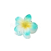 Plastic Claw Hair Clips LS-PW-WG07B2B-12-1