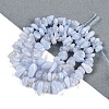 Natural Blue Lace Agate Chip Beads Strands G-E271-73-A-4