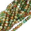 Natural Peacock Agate Beads Strands G-D0005-22-8mm-1