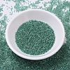 MIYUKI Delica Beads SEED-J020-DB0060-3