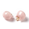 Sparkle Opaque Resin Charms RESI-E019-01G-03-3