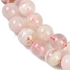 Natural Lodolite Quartz Beads Strands G-B125-M07-01-4