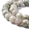 Natural Peace Jade Beads Strands X-G-G905-07-6MM-4