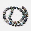 Natural Abalone Shell/Paua Shell Beads Strands SSHEL-G003-5-10x3mm-2