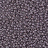 8/0 Czech Opaque Glass Seed Beads SEED-N004-003A-10-4