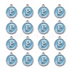 Platinum Plated Alloy Enamel Charms X-ENAM-S118-04P-P-2