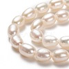 Natural Cultured Freshwater Pearl Beads Strands PEAR-L033-67-01-2