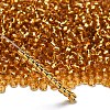 TOHO 6/0 Round Beads X-SEED-TR06-0022B-2