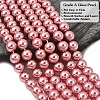 Eco-Friendly Dyed Glass Pearl Round Beads Strands HY-A002-10mm-RB109-4