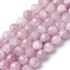 Natural Kunzite Beads Strands G-P587-B01-01-2