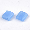 2-Hole Glass Seed Beads SEED-T004-01C-01-2