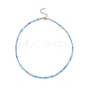 Glass Seed Beaded Necklace with 304 Stainless Steel Clasp for Women NJEW-JN04113-4