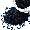 15/0 Transparent Czech Glass Seed Beads SEED-N004-004-10-1