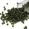 TOHO 6/0 Round Beads X-SEED-TR06-0037-1