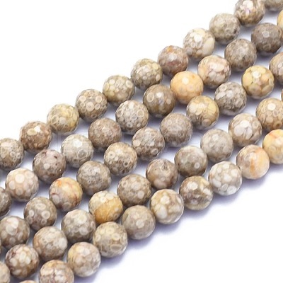 Natural Conch Fossil Beads Strands G-K310-A07-8mm-1
