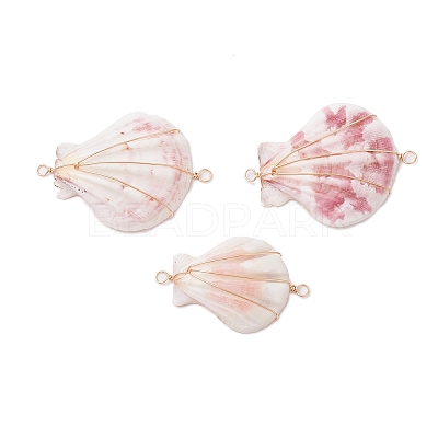 Natural Scallop Shell Copper Wire Wrapped Connector Charms PALLOY-TA00199-1