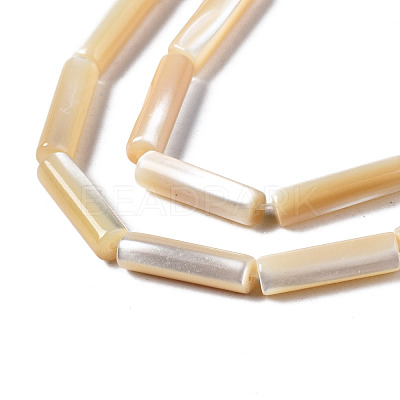 Natural Trochid Shell/Trochus Shell Beads Strands SSHEL-S266-020B-03-1