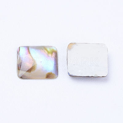 Natural Paua Shell Cabochons X-SSHEL-F301-25-1
