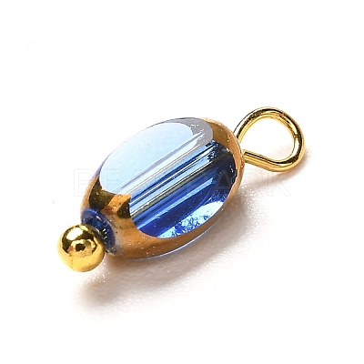 Electroplate Glass Pendants PALLOY-JF00895-1