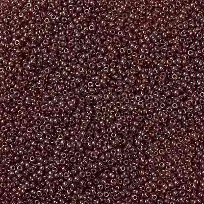 MIYUKI Round Rocailles Beads X-SEED-G008-RR0309-1