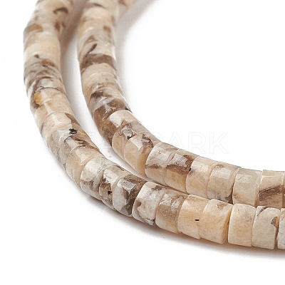 Natural Feldspar Beads Strands X-G-H230-47-1