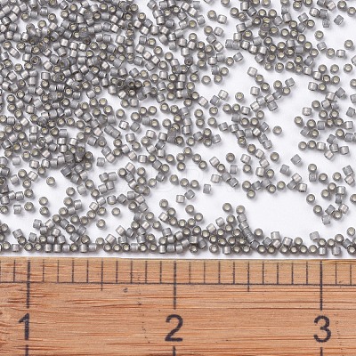 MIYUKI Delica Beads X-SEED-J020-DB0631-1