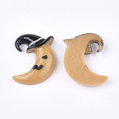 Resin Cabochons LS-CRES-T010-107-1