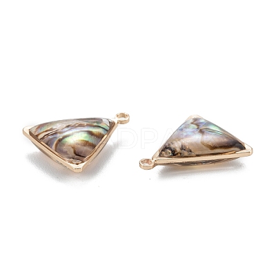 Natural Paua Shell Pendants KK-K252-07G-02-1