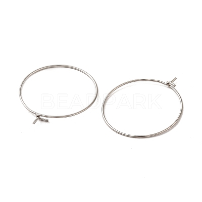304 Stainless Steel Hoop Earrings Findings STAS-I120-60B-P-1