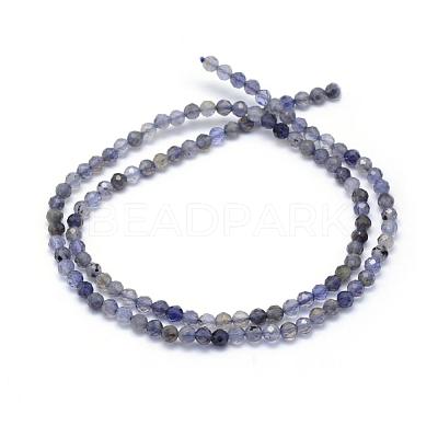 Natural Cordierite/Iolite/Dichroite Beads Strands G-E411-39-3mm-1