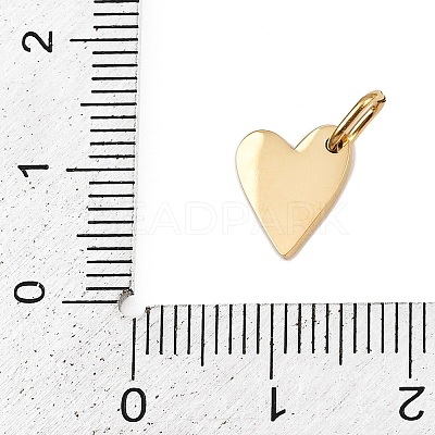 304 Stainless Steel Charms STAS-L291-01G-A-1