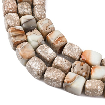Natural Aqua Terra Jasper Beads Strands G-B155-D15-1