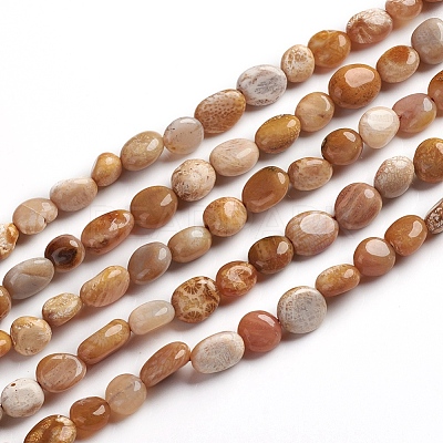 Natural Fossil Coral Beads Strands G-D0002-B36-1
