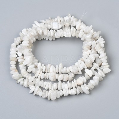 Natural White Moonstone Beads Strands X-G-P332-01-1