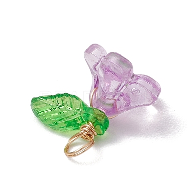Acrylic Charms PALLOY-JF03079-1