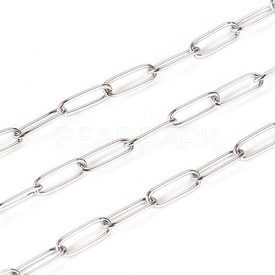 Tarnish Resistant 304 Stainless Steel Paperclip Chains CHS-F010-01E-P-1