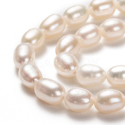 Natural Cultured Freshwater Pearl Beads Strands PEAR-L033-67-01-1