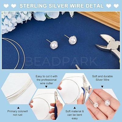1Pc 999 Fine Silver Wire STER-BC0001-66B-1
