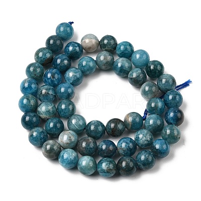 Natural Apatite Beads Strands G-F674-04-8mm-1