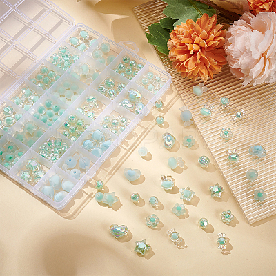 Transparent Acrylic Beads TACR-AR0001-24-1