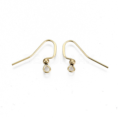 304 Stainless Steel Earring Hooks STAS-N092-104G-NR-1