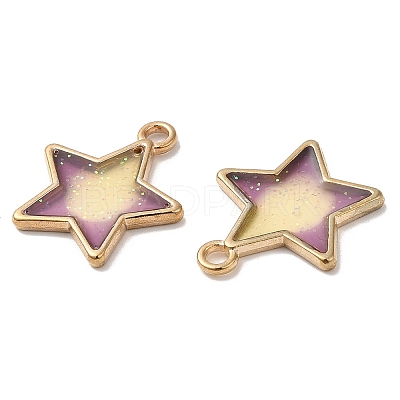 Rack Plating Alloy Epoxy Resin Pendants ENAM-K069-09G-1