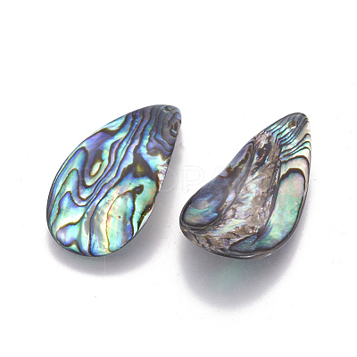 Natural Abalone Shell/Paua Shell Pendants SSHEL-F303-04-1