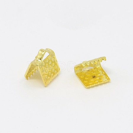 Iron Ribbon Crimp Ends E004Y-G-1