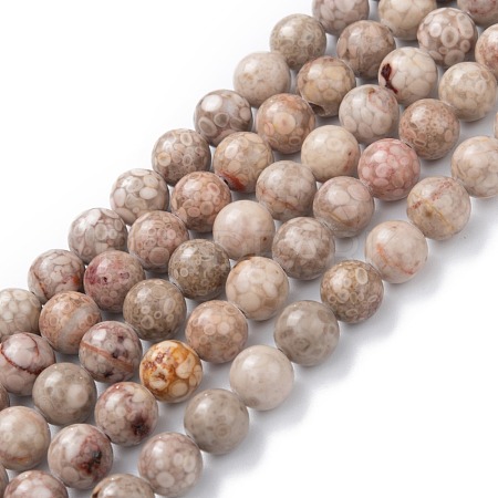 Natural Maifanite/Maifan Stone Beads Strands G-P451-01A-B-1
