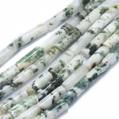 Natural Tree Agate Beads Strands G-F631-D03-1