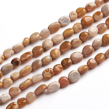 Natural Fossil Coral Beads Strands G-D0002-B36-1