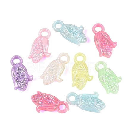Opaque Plastic Pendants KY-Q010-02-1